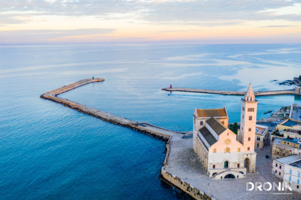 dronik riprese aeree drone andria wedding eventi manifestazioni ispezioni perizie spot