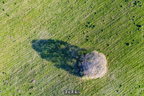 dronik riprese aeree drone andria wedding eventi manifestazioni ispezioni perizie spot