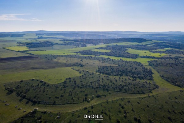 dronik riprese aeree drone andria wedding eventi manifestazioni ispezioni perizie spot
