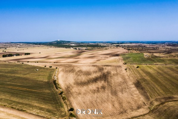 dronik riprese aeree drone andria wedding eventi manifestazioni ispezioni perizie spot