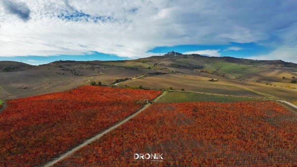 dronik riprese aeree drone andria wedding eventi manifestazioni ispezioni perizie spot